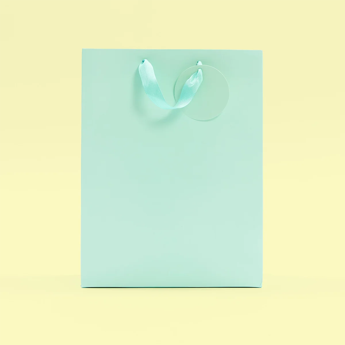 Mint Green Large Gift Bag