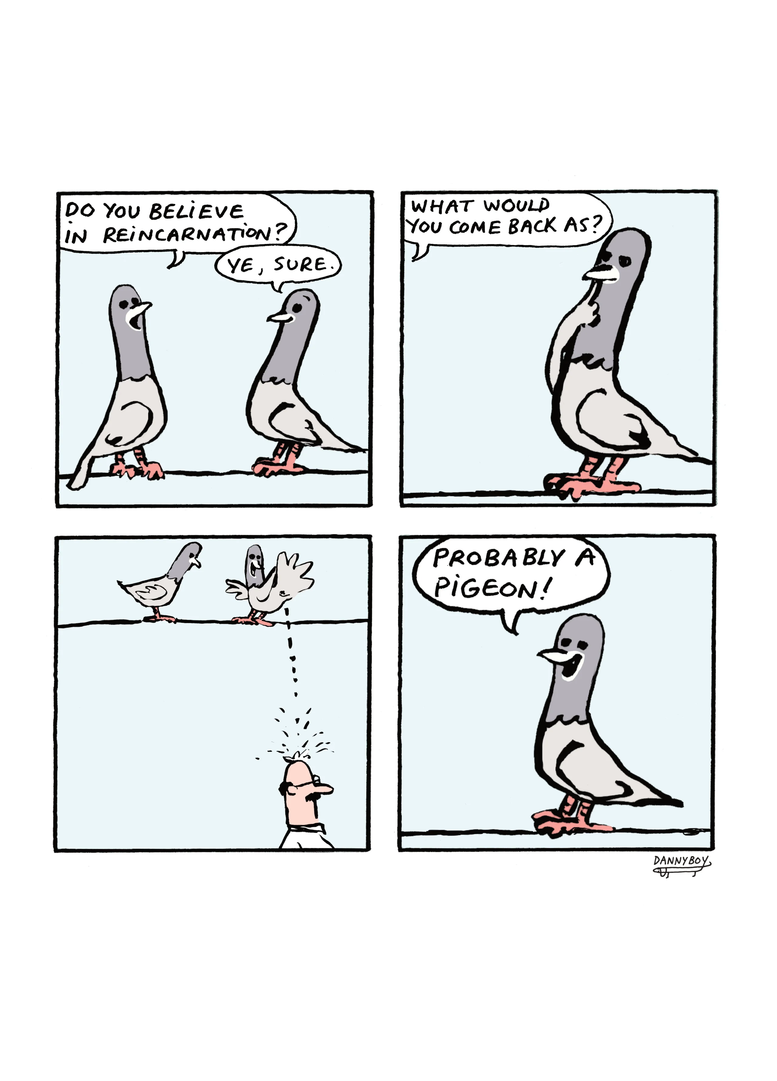 Pigeon!