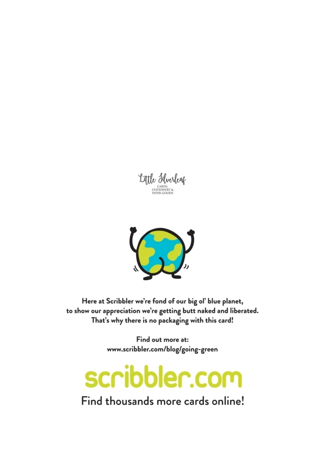 Whit A Bonnie Wee Bairn, Scottish New Baby Girl Card - Image 4